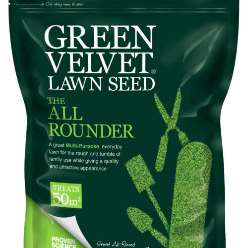 Grass Seed