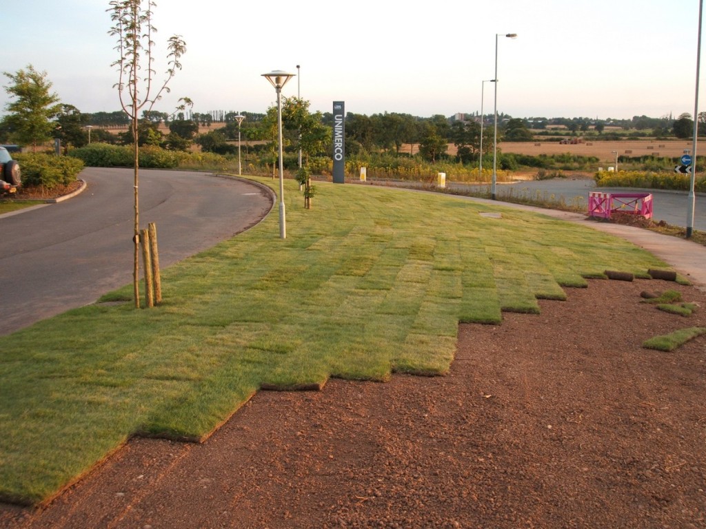 laying rolls of turf for commercial landscaping