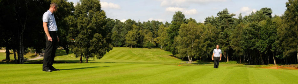 golf-fairway-turf-with-arena-grass