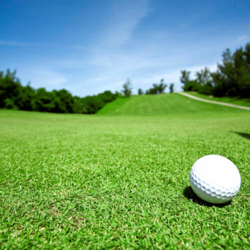 Golf & Sports Turf