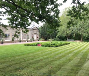 Fresh Quality Lawn Turf